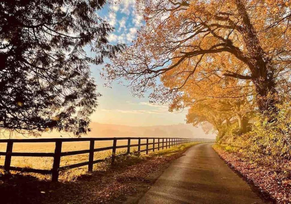 Graffham Aspen Leaves: The Perfect Farm Retreat 빌라 외부 사진